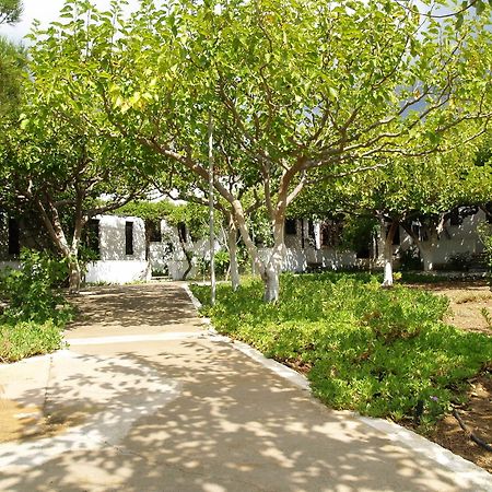 Dolphin Apartments Frangokastello Extérieur photo