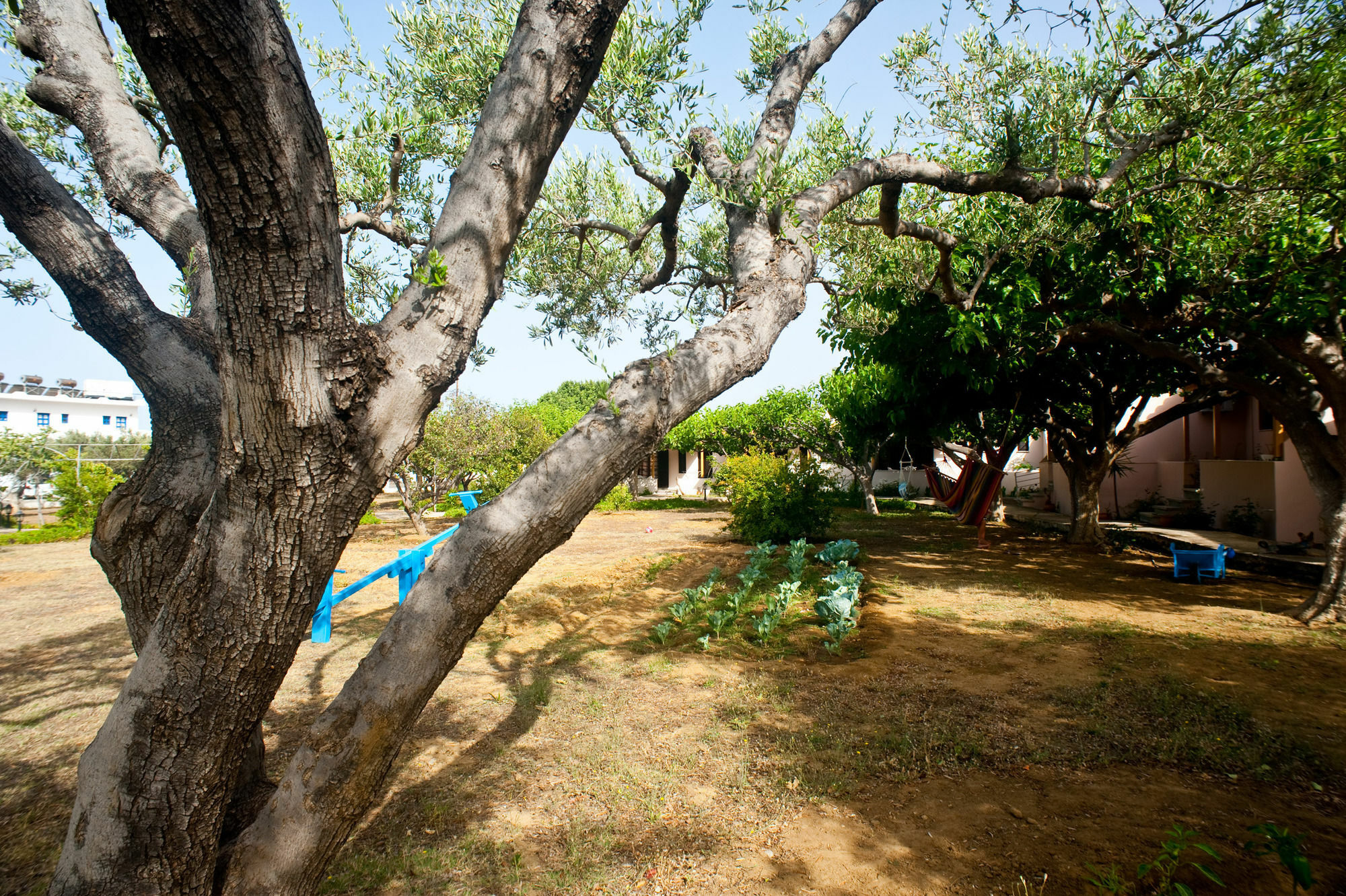 Dolphin Apartments Frangokastello Extérieur photo